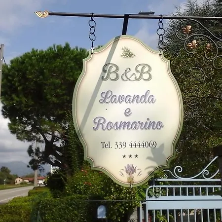 Lavanda E Rosmarino Sandigliano