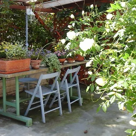 Couette-café Lavanda E Rosmarino Sandigliano