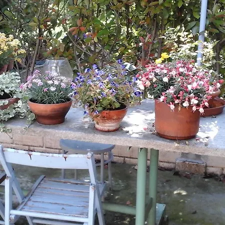 Lavanda E Rosmarino 4*