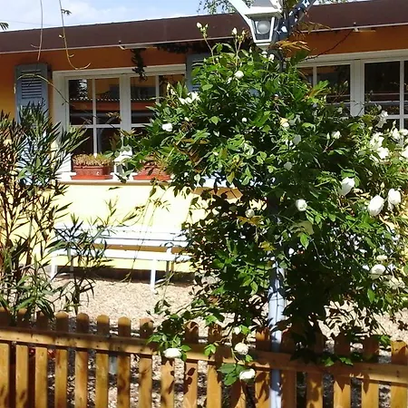 Lavanda E Rosmarino Sandigliano