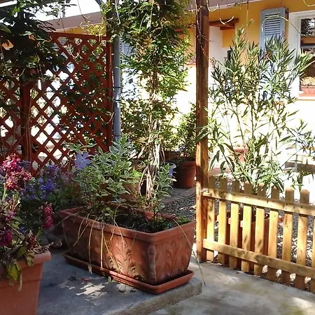 Lavanda E Rosmarino