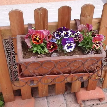 Lavanda E Rosmarino Couette-café