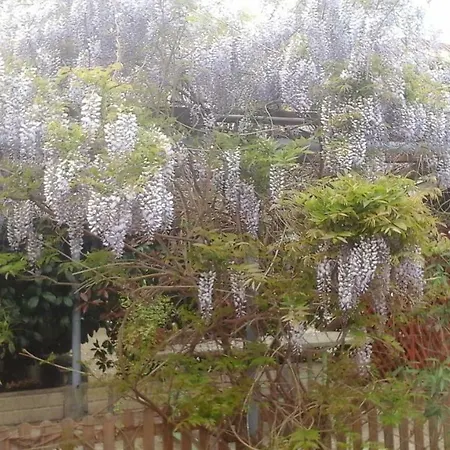 Couette-café Lavanda E Rosmarino Sandigliano