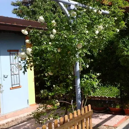 Lavanda E Rosmarino 4*