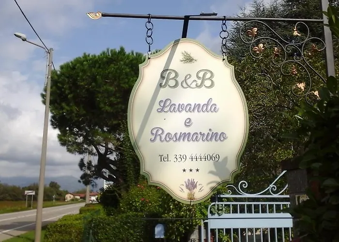 Lavanda E Rosmarino 산디글리아노