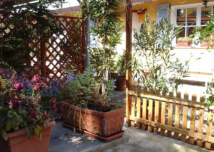 Lavanda E Rosmarino