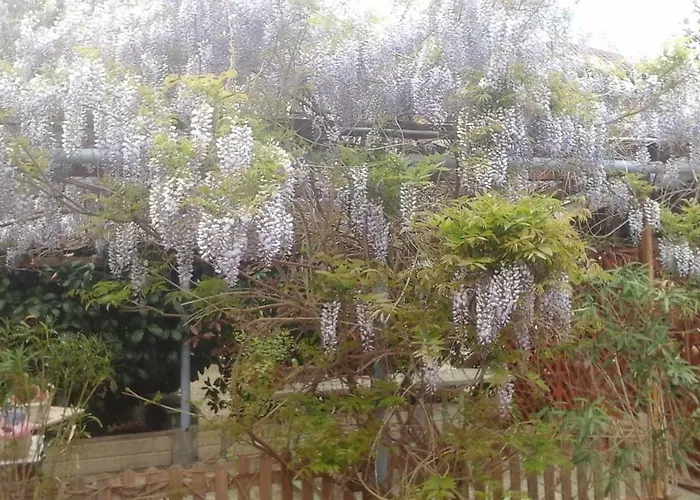 B&B Lavanda E Rosmarino 산디글리아노