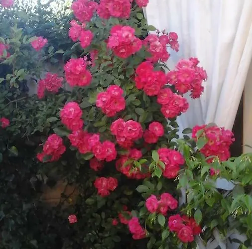 Lavanda E Rosmarino B&B